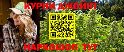 прущие грибы Лесосибирск