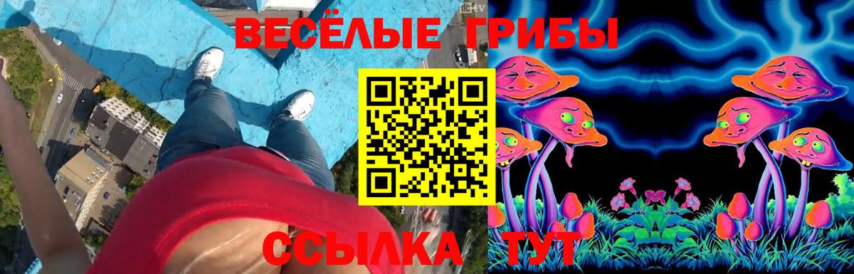 Псилоцибиновые грибы прущие грибы  закладки  Уварово  Псилоцибиновые грибы GOLDEN TEACHER  Вход с VPN 
