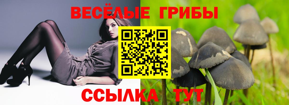 Галлюциногенные грибы MAGIC MUSHROOMS Уварово